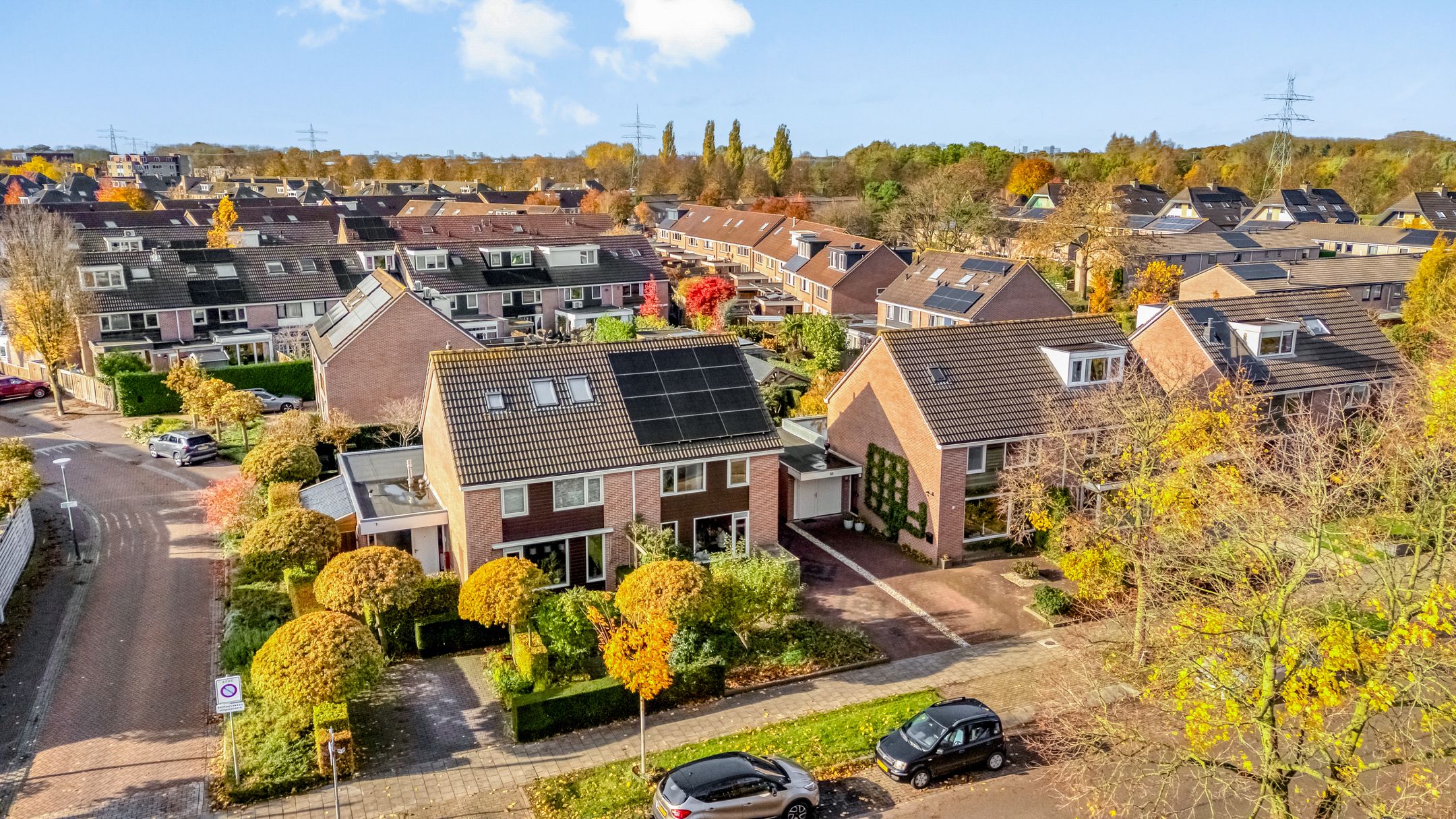 Foto 72 van Esdoorn 31