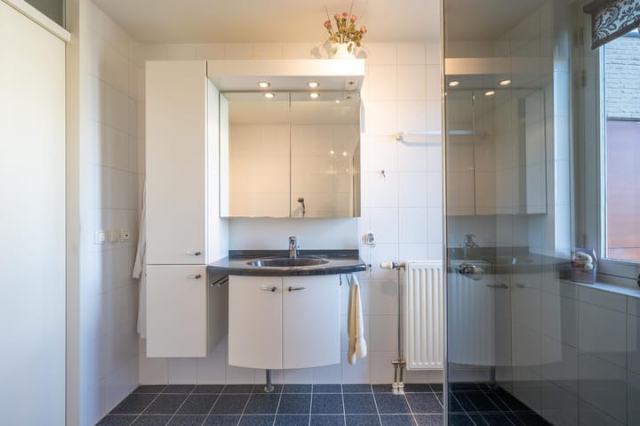 Foto 21 van Wiericke 55