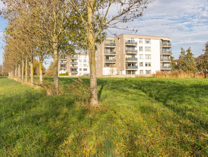 Foto 30 van Wiericke 55