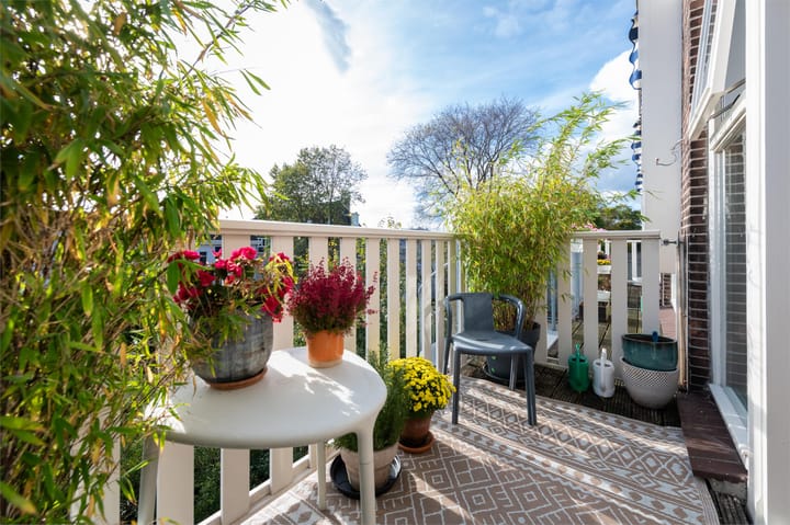 Photo 49 of Rapenburgerstraat 103-F