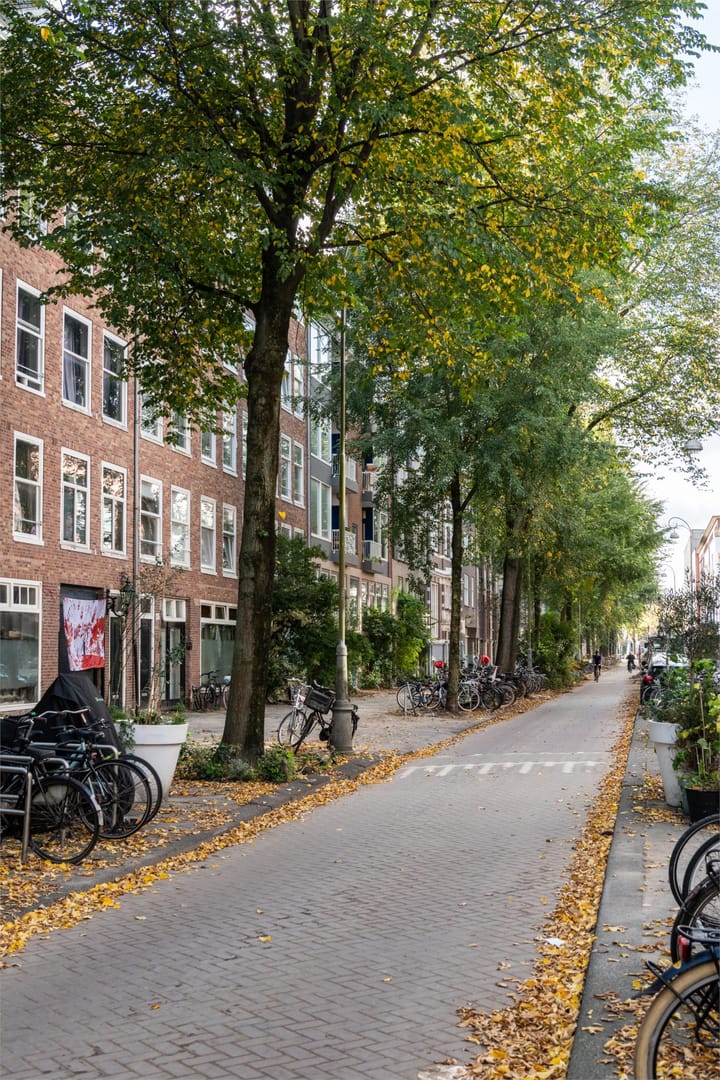 Photo 54 of Rapenburgerstraat 103-F