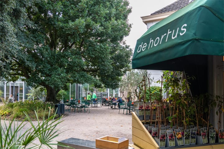 Photo 62 of Rapenburgerstraat 103-F