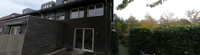 Achtertuin