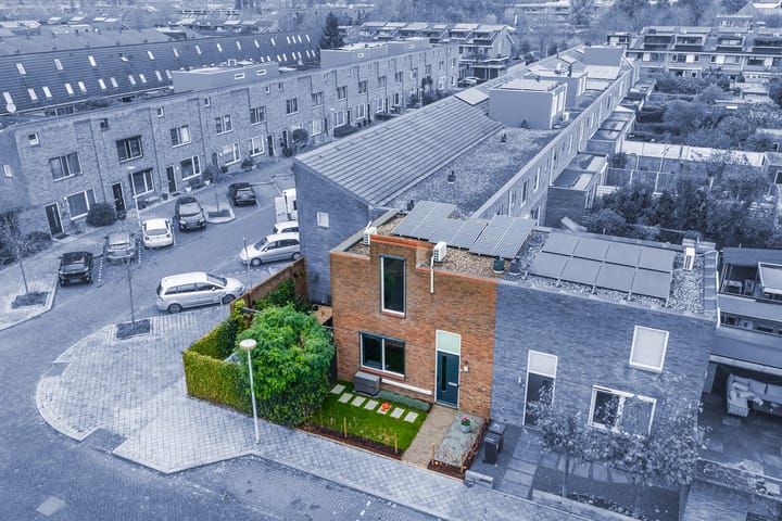 Zevenblad 9 main image