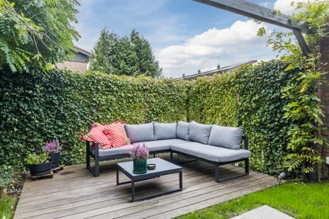 Zevenblad 9 tertiary image