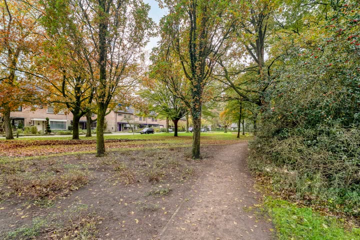 Photo 44 of Oosterlaan 173