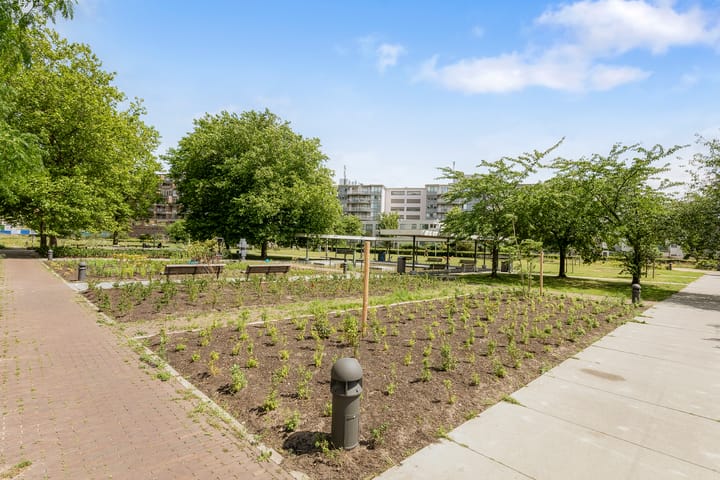 Photo 21 of Bos en Lommerplantsoen 99-B