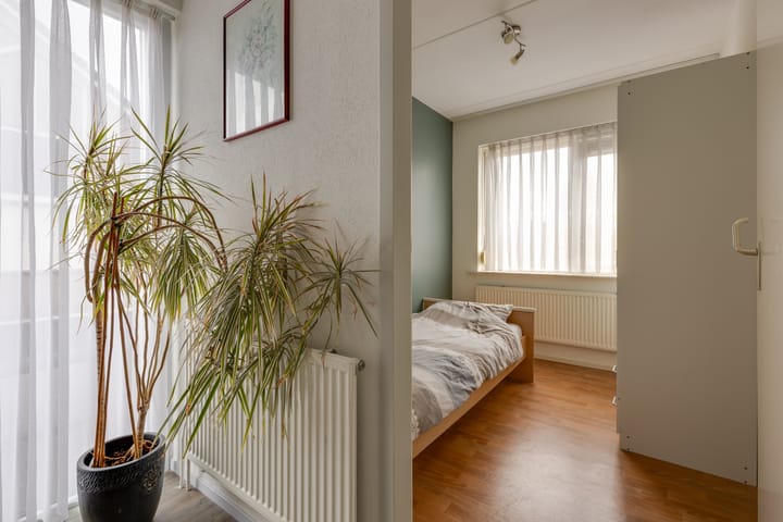 Photo 29 of Scholeksterstraat 33