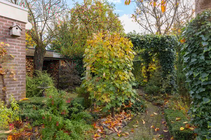 Photo 47 of Scholeksterstraat 33