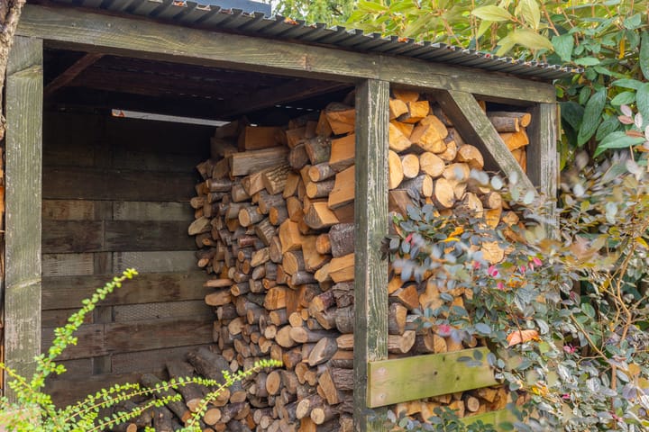 Photo 49 of Scholeksterstraat 33