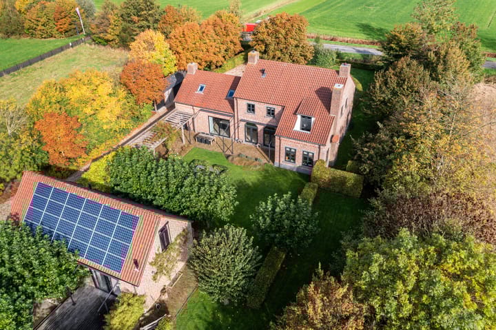 Ivige Leane 30 main image