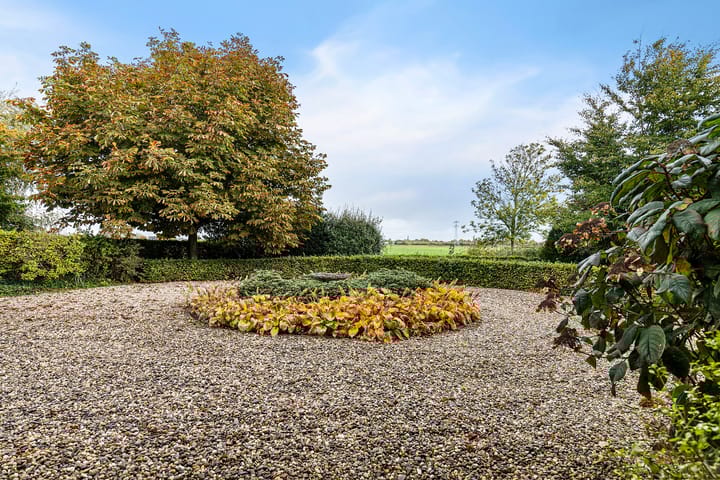 Foto 61 van Ivige Leane 30