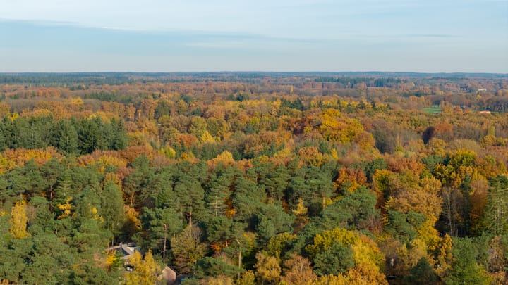 Foto 37 van Berkenoord 5