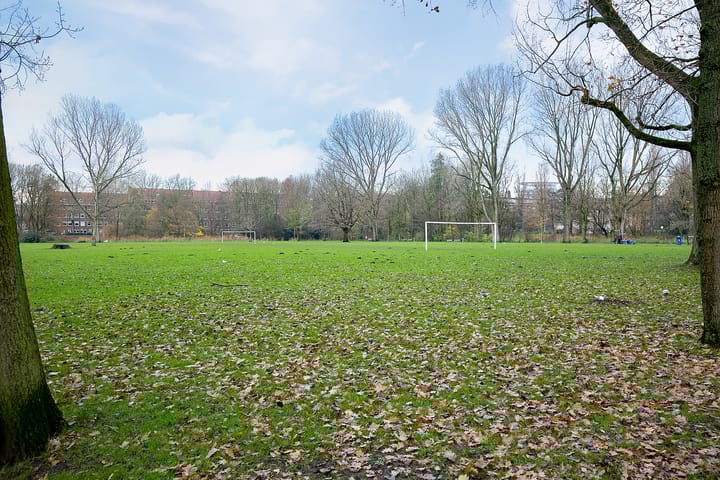 Photo 33 of Hoofdweg 410-1