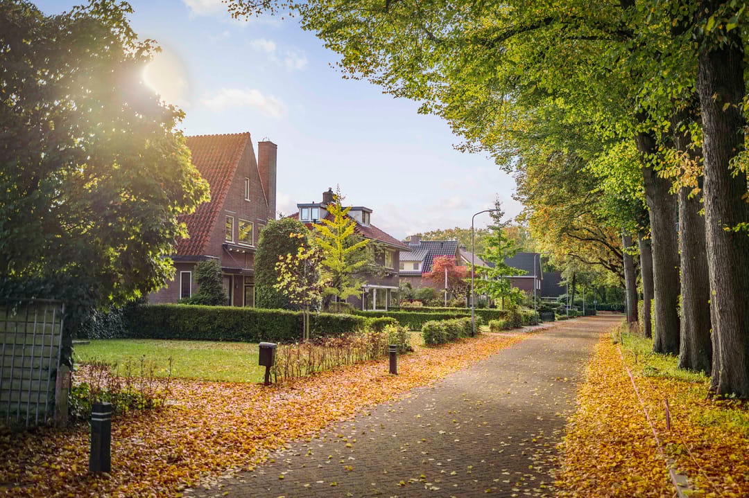 Foto 41 van Lindelaan 26