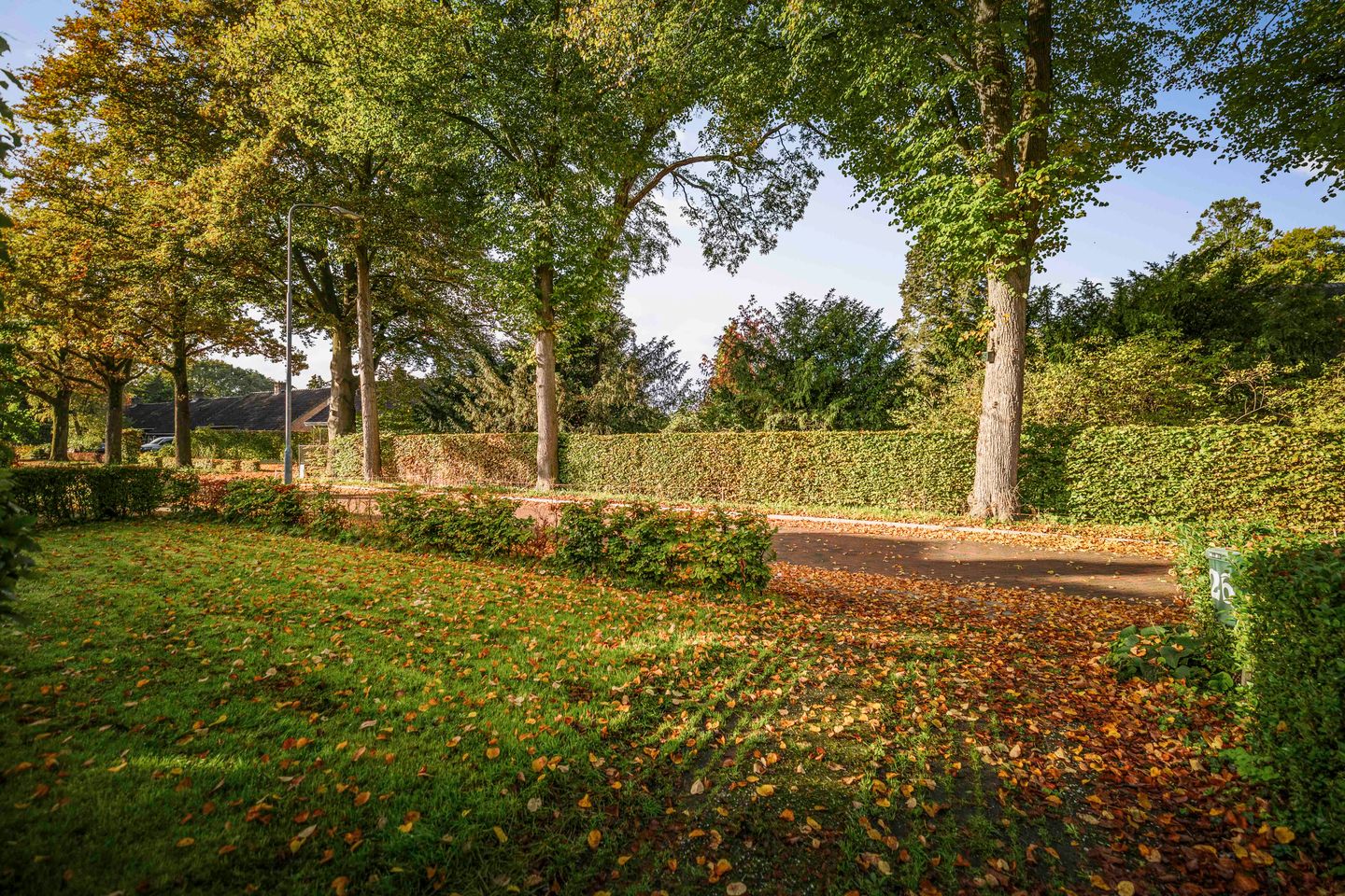 Foto 40 van Lindelaan 26