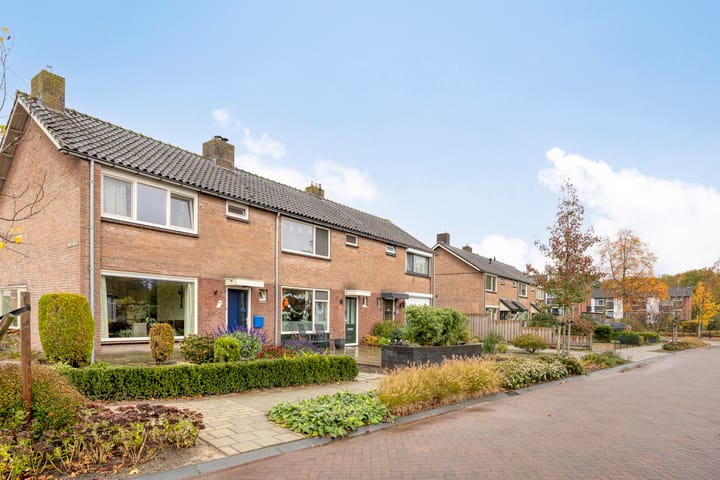 Foto 30 van Papaverstraat 50