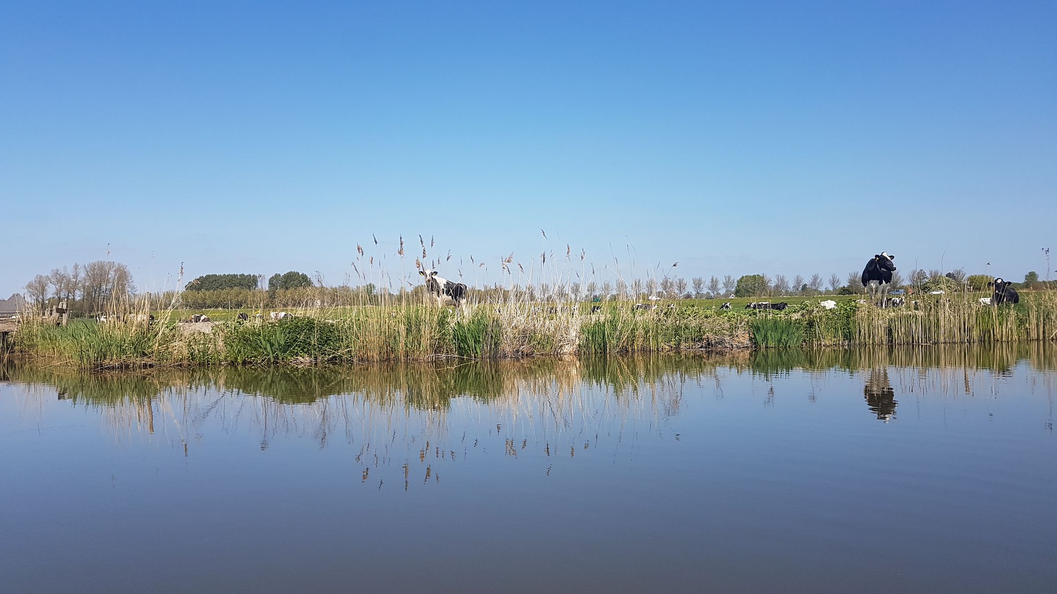 Foto 57 van Jisperdijk 1