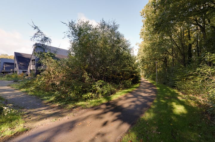 Foto 49 van Brinklaan 16