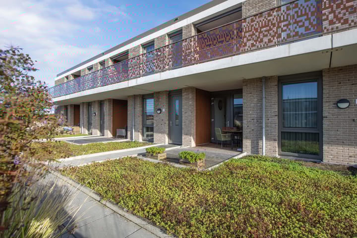 Photo 29 of De Boei 17