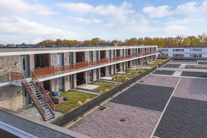 Photo 31 of De Boei 17