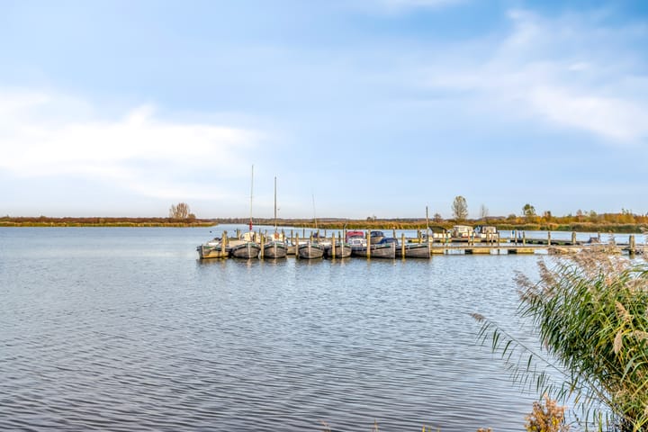 Foto 64 van Wimpelplantsoen 123