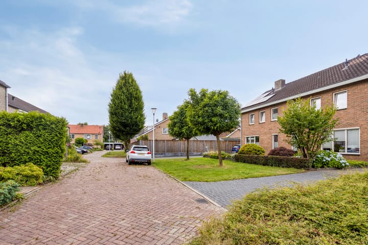 Photo 37 of de Roerdomp 39