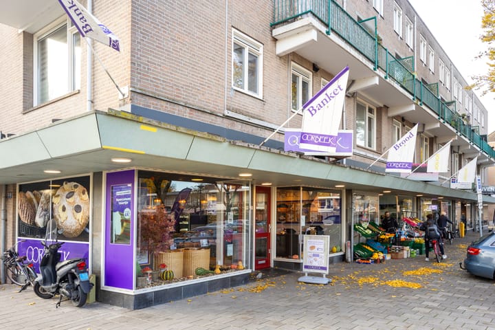 Foto 44 van Herman de Manlaan 11