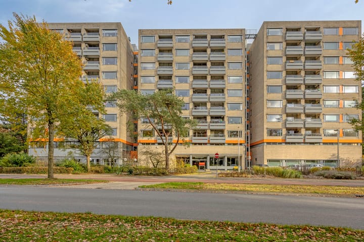 Photo 2 of Laan van Borgele 40-F612