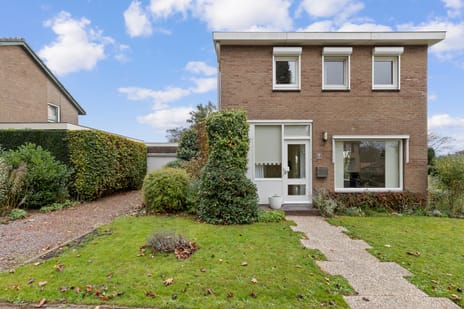 undefined main image