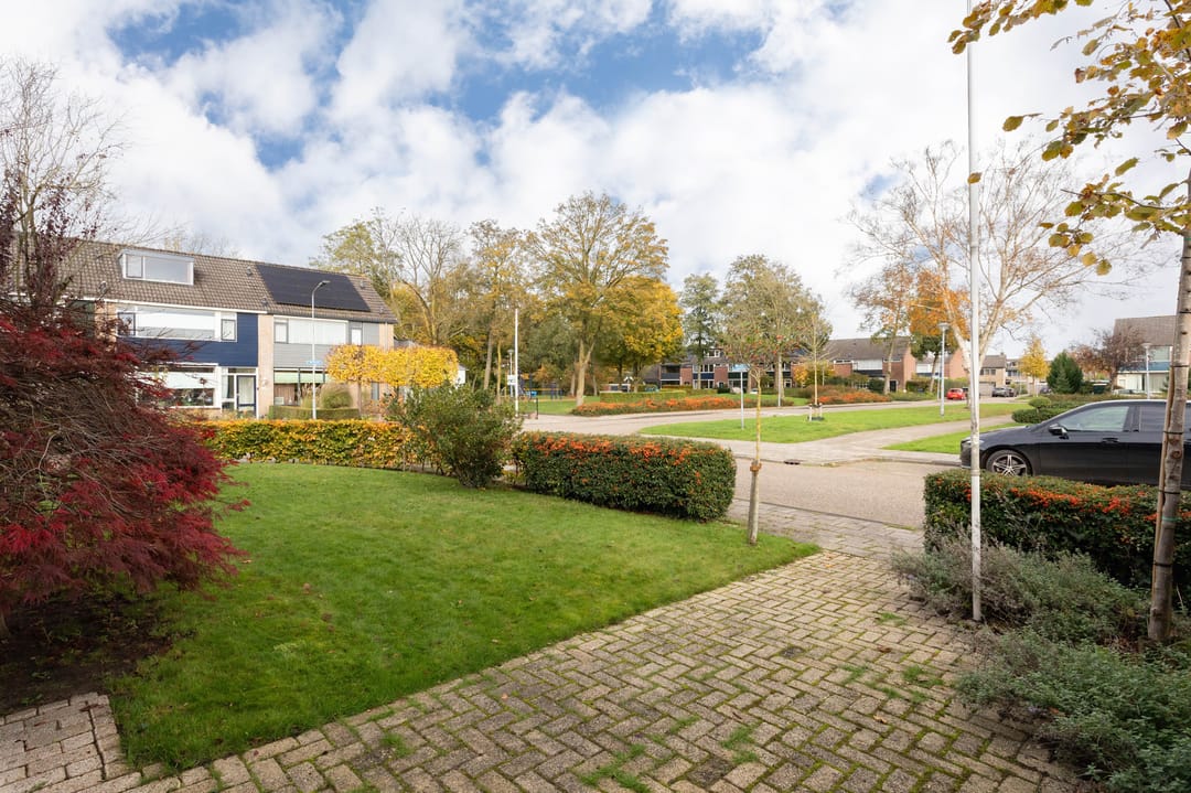 Photo 58 of Wittenburg 112