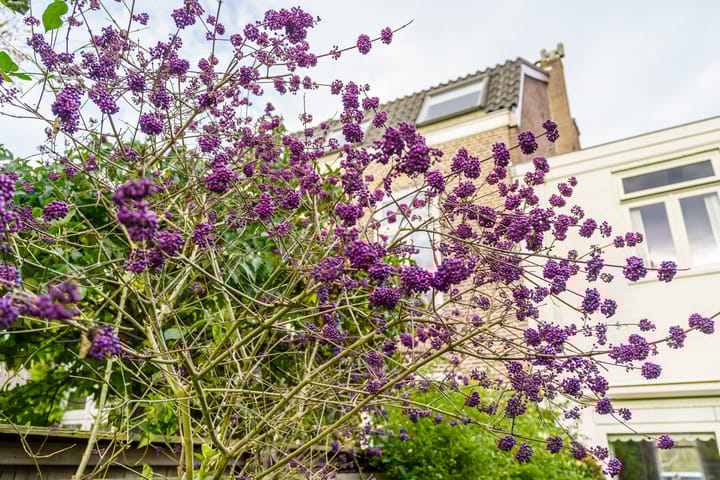 Foto 5 van Kinderhuissingel 42