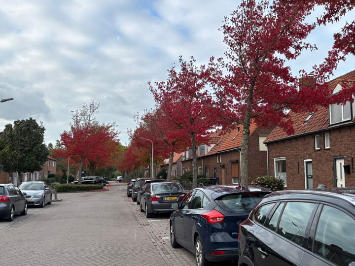 Foto 43 van van der Slikkestraat 5