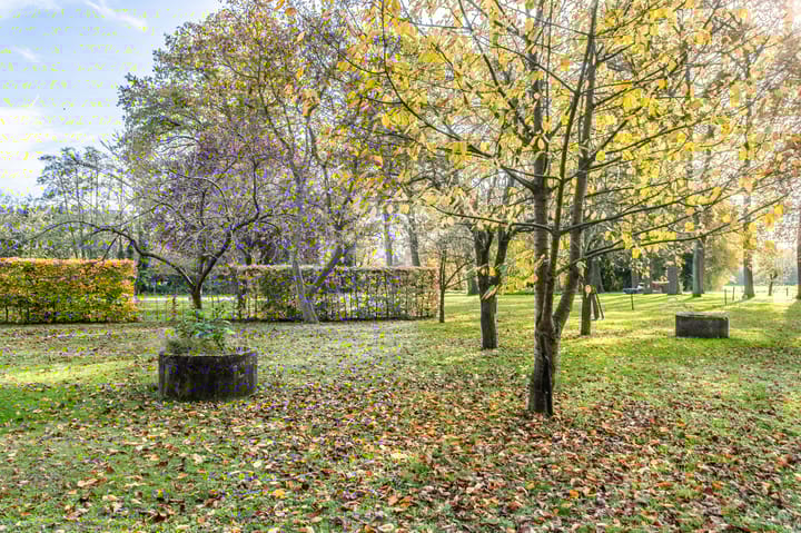 Photo 12 of Geelinkweg 3