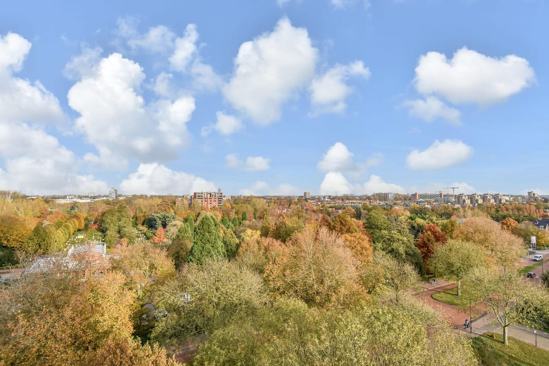 Foto 8 van Rodelaan 231