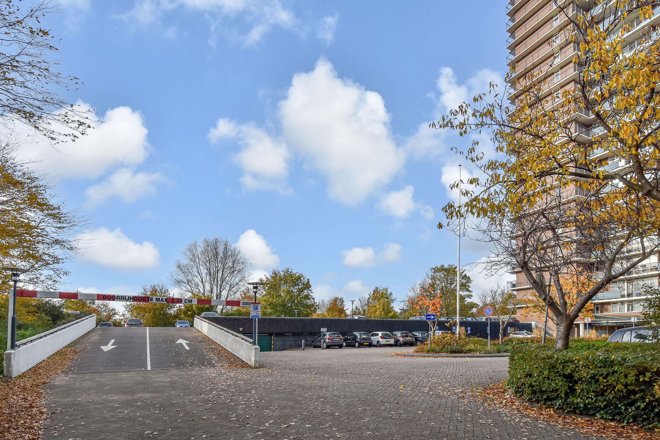 Foto 27 van Rodelaan 231