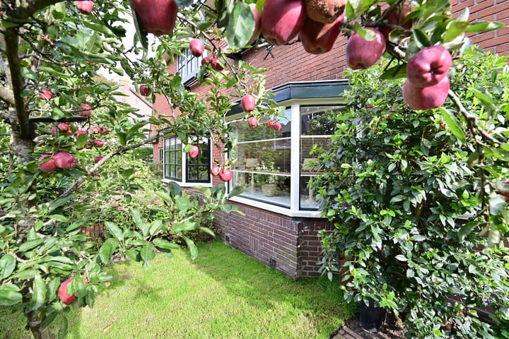 Foto 25 van Zijtak 19