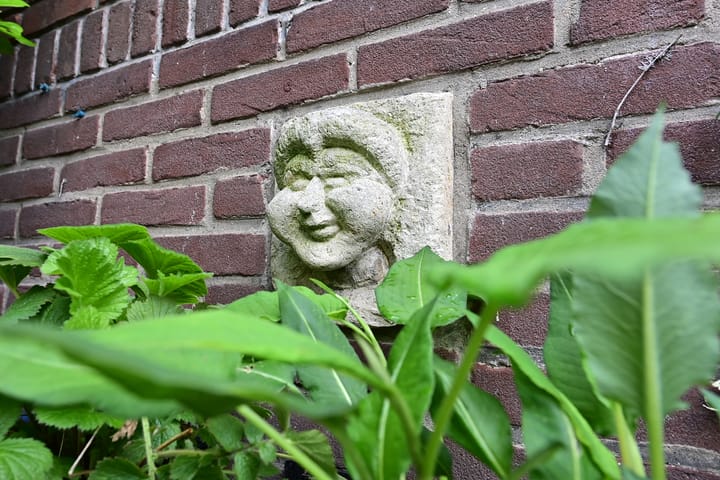 Foto 26 van Zijtak 19