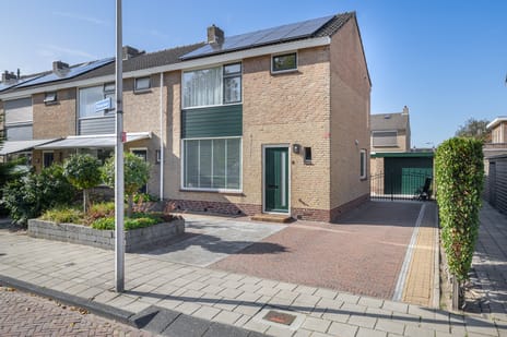 undefined main image