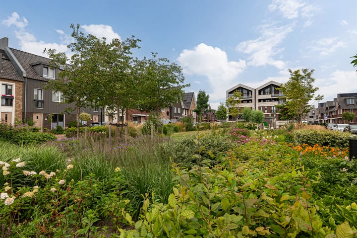 Foto 39 van Loshaven 31