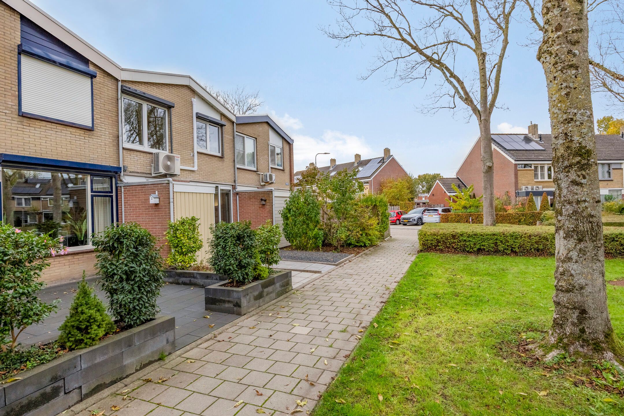 Foto 3 van Zuidster 3