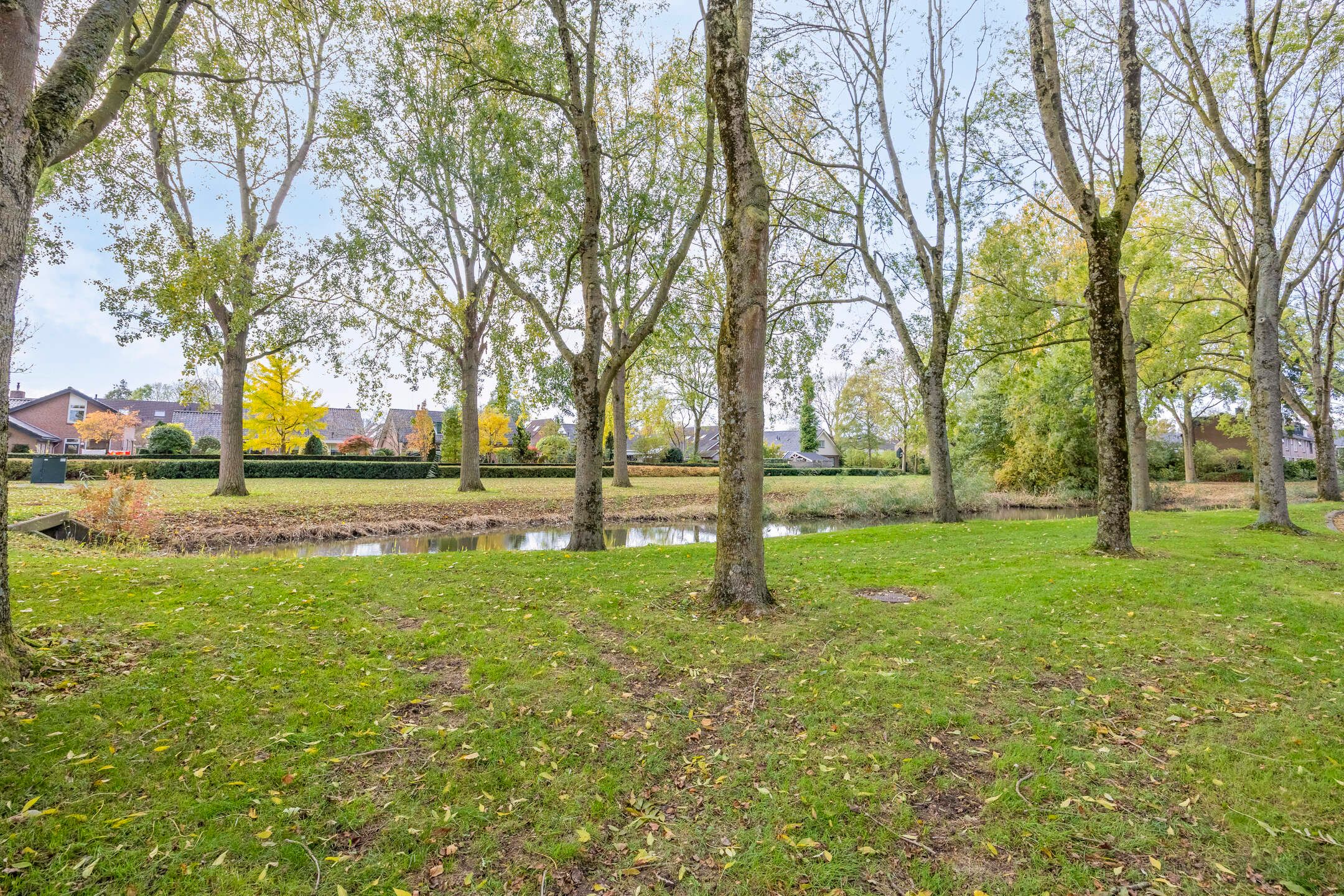 Foto 39 van Zuidster 3