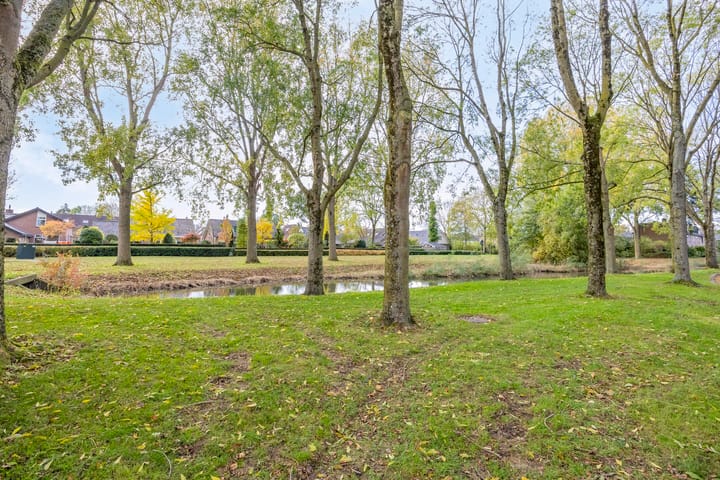 Photo 39 of Zuidster 3