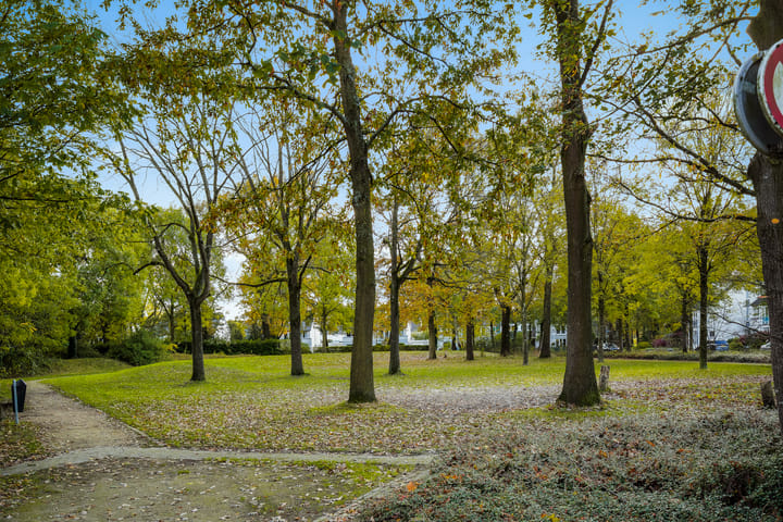 Foto 64 van Wolfsven 7