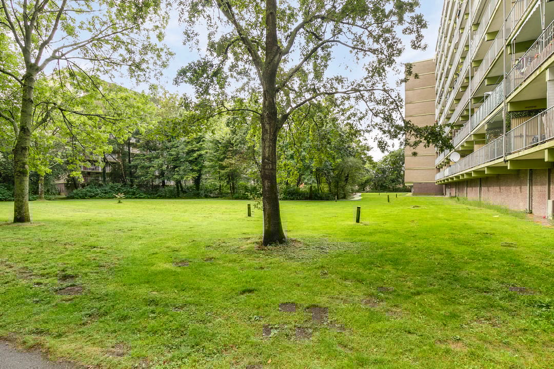 Foto 22 van Westervenne 320