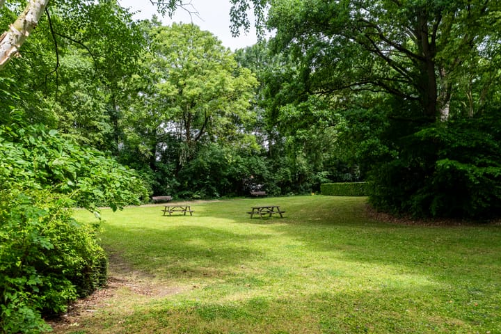 Photo 29 of Muzenlaan 118