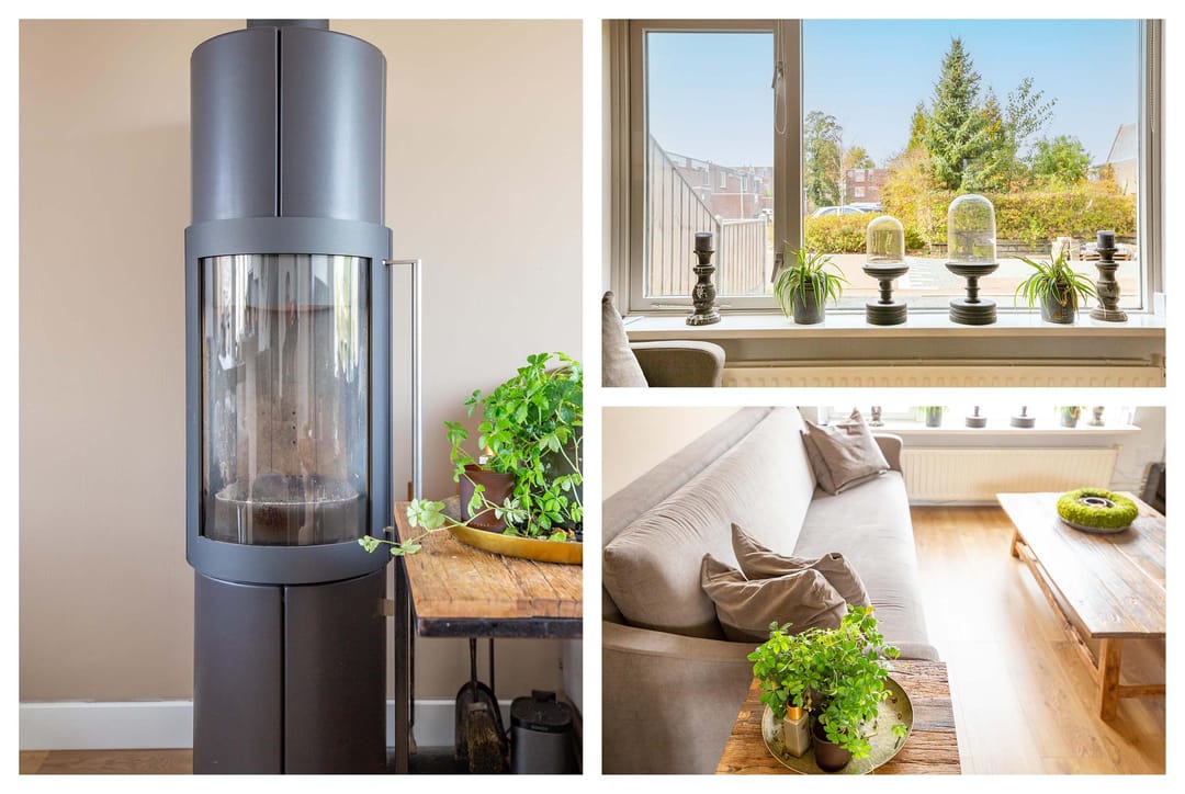 Foto 8 van Griend 37 36