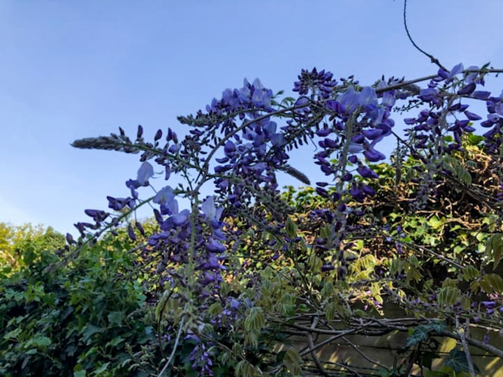 Foto 63 van Eekhoornstraat 4