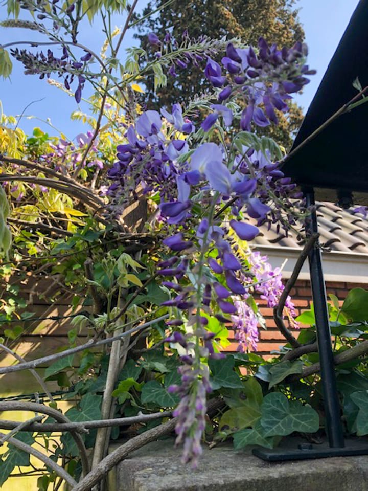 Foto 64 van Eekhoornstraat 4