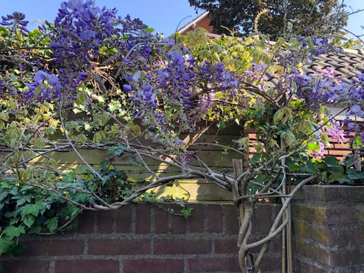 Foto 65 van Eekhoornstraat 4